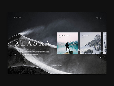 TRVL alaska design travel ui ux web design