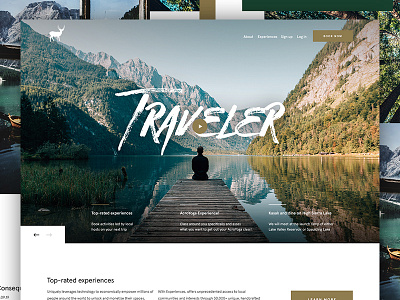 Traveler hero minimal travel traveler ui ux web design website