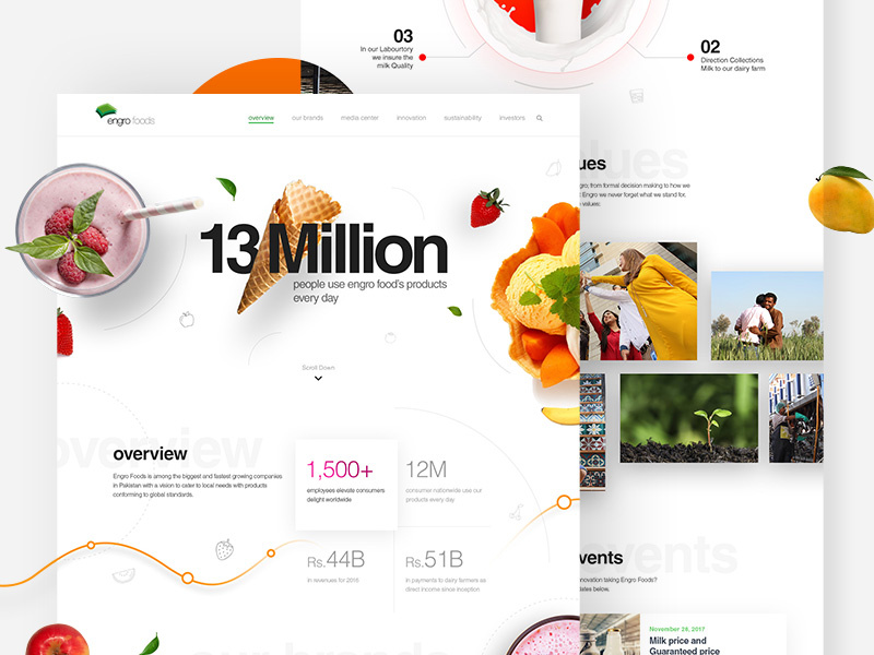 Engro Foods Landing Page Design Idea