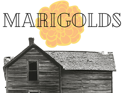 Marigolds by Eugenia Collier design graphic design posters