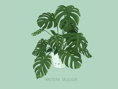 Monsterra Deliciosa by Angélique Schlick on Dribbble