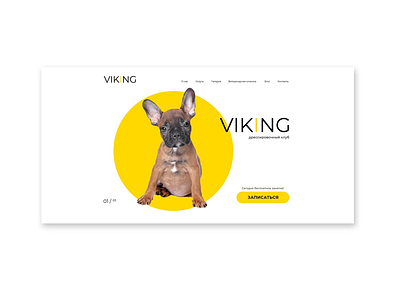 VIKING website