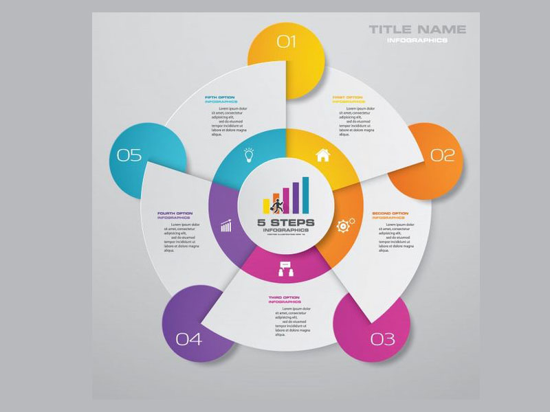 5 Steps Business Infographics template by Data King 120 on Dribbble