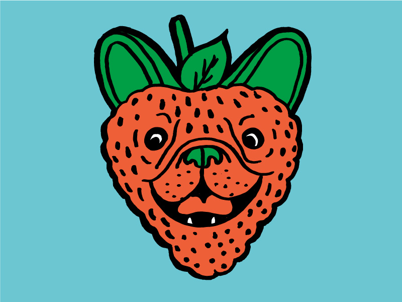 Pugberry fruit dog hand done logo illustration strawberry pug