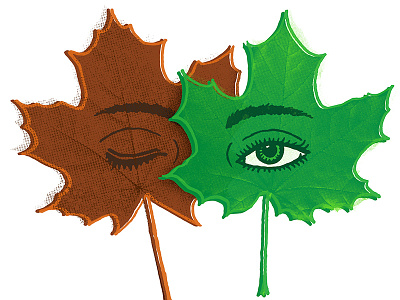 A new Leaf illustration leaf