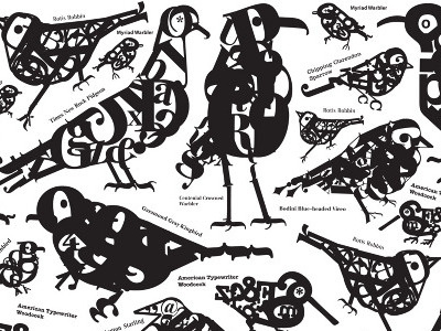 Typographic Bird Species birds crow typography