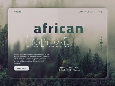 Forests website infos design concept