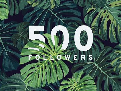 500 Followers 500 500 followers bala ux concept creative design designer flower freelancer illustration plant vector