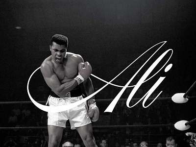 Ali boxing lettering spencerian vector