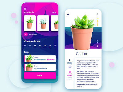 Plant Calendar App app applicaiton branding calendar card clean dailyui design figma flowers herb ios plant typography ui ux web design