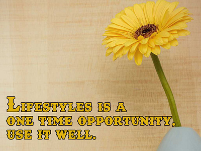 Lifestyles is a one time opportunity, Use it well.