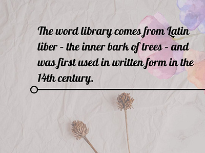 The word library comes from...