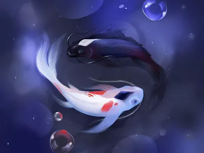 Yin Yang animals design drawing fish illustration koi painting photoshop yin yang