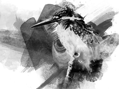 Meditation bird black and white collage photo watercolor