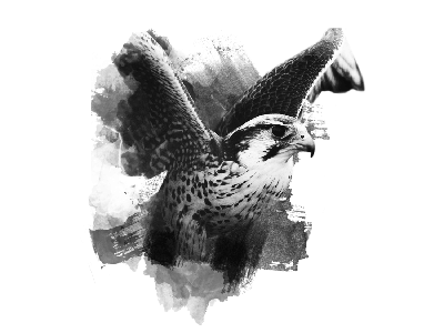 Leadership workshop bird black and white brush collage digital art digital collage digital illustration illustration ink painting photoshop