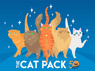 Cat Pack cat color drawing illustration illustrator playful