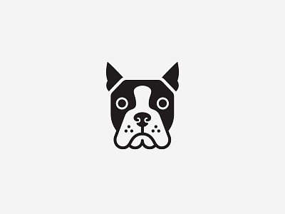 Boston Terrier animal boston terrier dog face head illustration logo pet symbol