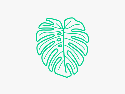 Monstera Leaf illustration leaf line nature