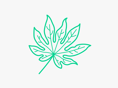 Aralia Leaf illustration leaf line nature