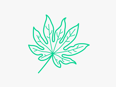 Aralia Leaf