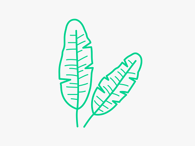 Banana Leaf illustration leaf line tropical