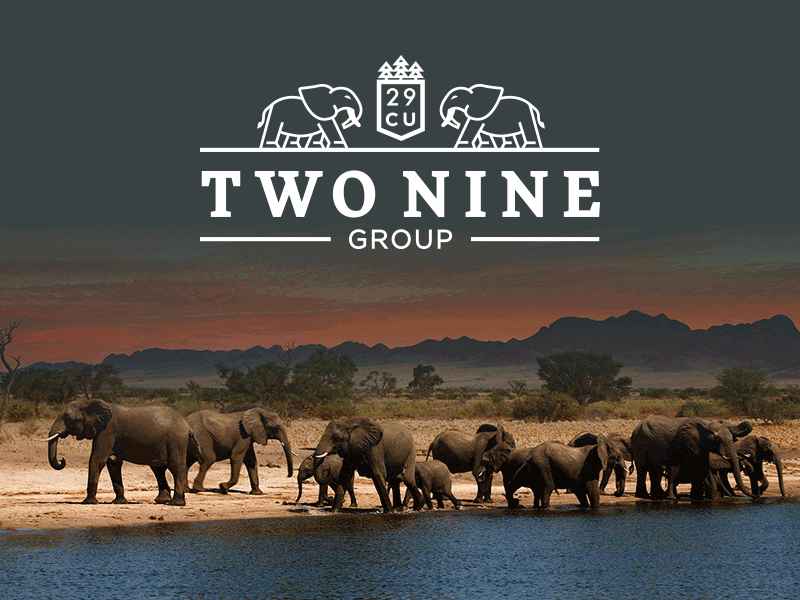Two Nine Group Logo 29 africa branding business capital copper elephant finance identity investment zambia
