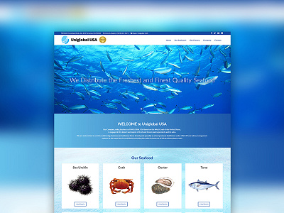 Uniglobal USA ui design web design