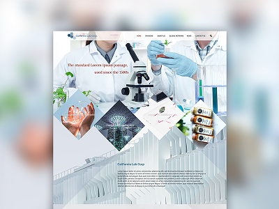 Laboratory theme website design branding ui ui design ux ux design web design