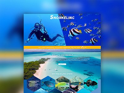 Snorkeling theme website design