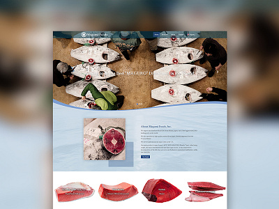 Megumi Foods, Inc. branding graphic design seafood ui ui design ux ux design web design