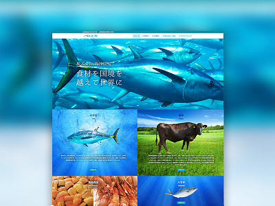 Kiajin Trading beef branding graphic design japanese food sea food tuna ui ui design ux ux design web design