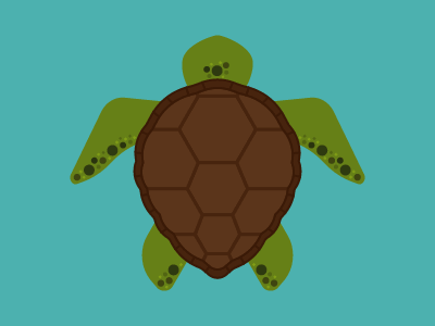 Sea Turtle adobe after effects animation illustration illustrator ocean sea turtle turtle waves