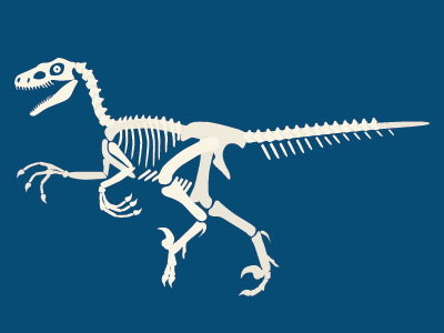Velociraptor dino dinosaur giant lizard prehistoric raptor skeleton velociraptor