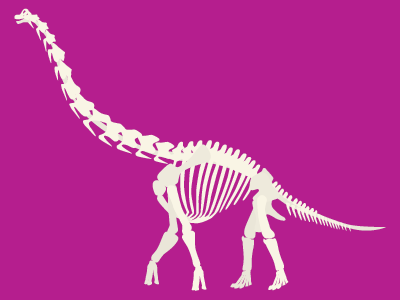 Brachiosaurus brachiosaurus dino dinosaur giant lizard prehistoric raptor skeleton