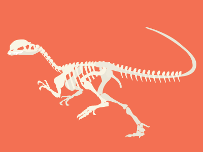 Dilophosaurus by Kayla Folino on Dribbble
