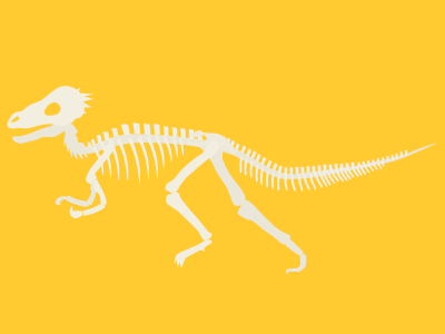 Pachycephalosaurus bones dino dinosaur fossil giant lizard prehistoric skeleton