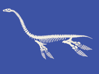Plesiosaur bones dino dinosaur fossil giant lizard prehistoric skeleton water
