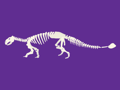 Ankylosaurus bones dino dinosaur fossil giant lizard prehistoric skeleton