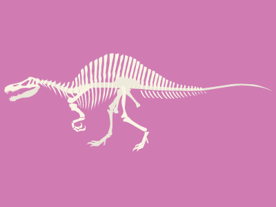 Spinosaurus bones dino dinosaur fossil giant lizard prehistoric skeleton