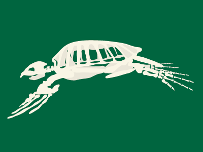 Archelon By Kayla Folino On Dribbble Archelon By Kayla Folino On Dribbble