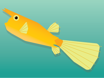 Longhorn Cowfish cowfish fish gillustration gillustrations longhorn cowfish ocean tropical water yellow