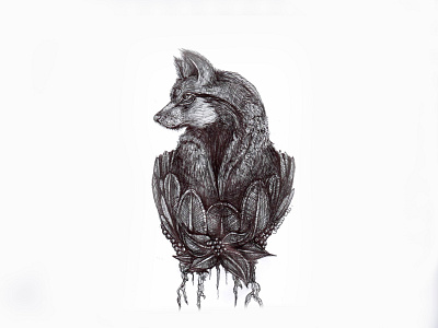 Drawing // Pen // Wolfie //