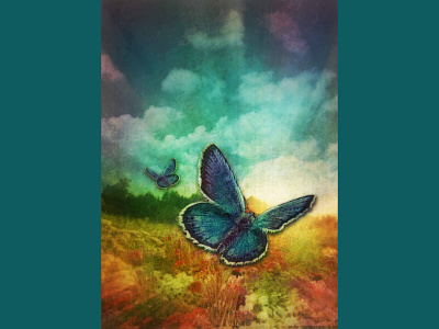 Photoshop Art // Butterfly in the Field //