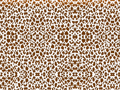 Cheetah Print Pattern