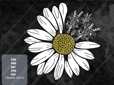 daisy flower , wildflower image , simple daisy svg