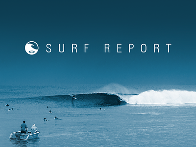 Surf Report Logo/Website