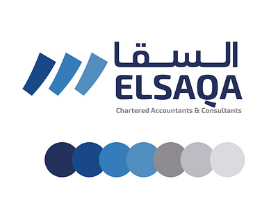 ElSAQA accountants