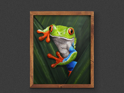 Red-Eyed Tree Frog / Acrylic Painting acrylic art costarica frog nature painting red eyed