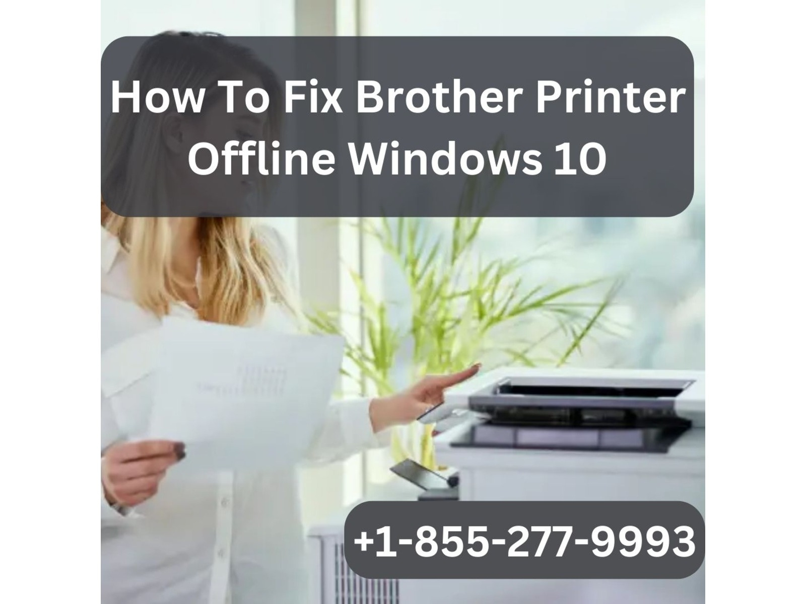 How To Fix Brother Printer Offline Windows 10 +18552779993 by