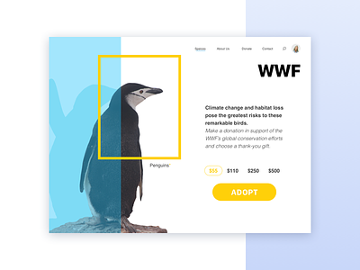 World Wildlife Fund concept animal card charity donate e-commerce ecology flat penguin planet protection ui winter